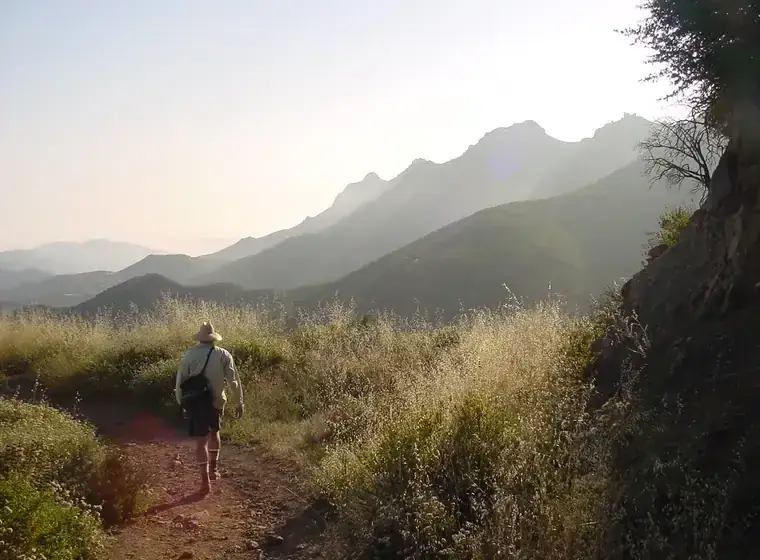 Sentiero di montagna che attraversa un pendio verde